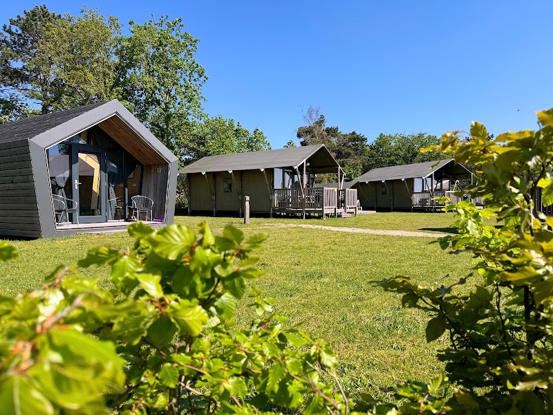 Campingplaats foto van Camping & Vakantiepark De Nollen
